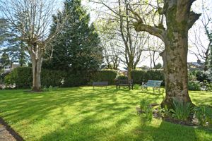 Photo 9- click for photo gallery